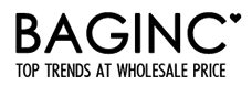 Click Here for BagInc.com Promotion Codes