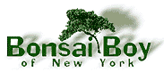Click Here for BonsaiBoy.com Coupon Codes and Savings