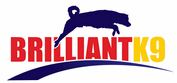 Click Here for BrilliantK9.com Discount Codes