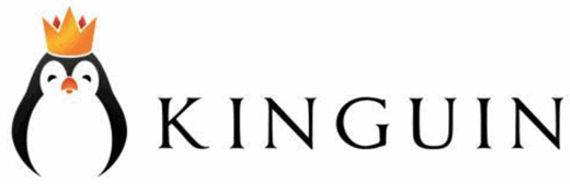 Click Here for Kinguin.net Coupon Codes and Savings