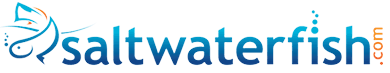 Click Here for SaltWaterFish.com Coupon Codes and Savings