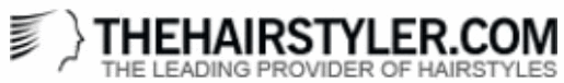 Click Here for TheHairStyler.com