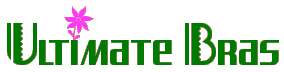 Click Here for UltimateBras.com