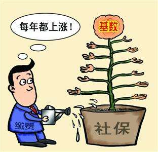 個人和單位繳納的社保，待遇會有什么區別？ 第1張